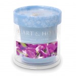 Votive Candle 15 hours - Sweet Pea