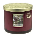 2 Wick Ellipse Candle Heart and Home - Mulberry
