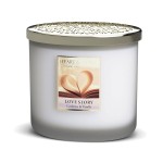 Heart and Home Love Story Ellipse 2-Wick Candle