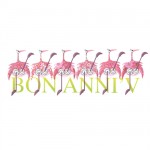 Bon Anniv flamingos Card