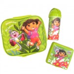 Dora the Explorer picnic bag