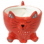 Flower pot - Springy Collection - Red cat