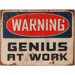 Warning Genius at Work metal plate Deco
