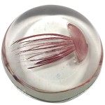 Jellyfish glass paperweight 10.5 cm - Transparent