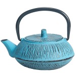 Japanese style cast iron teapot 0.35 liter