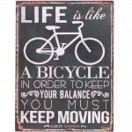 Life Is Like Bicycle metal plate Deco