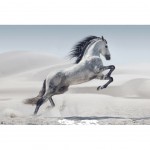 Andaluz Horse Poster