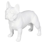 Bulldog in white resin 20 cm