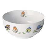 Fine Porcelain Bowl - Bird species