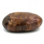 Stone petrified wood - 80-90 grams