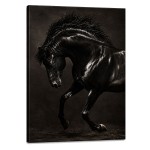 Elegant black horse canvas wall art 40 x 50 cm