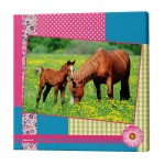 Horse Portrait Canvas frame