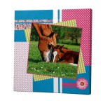 Horse Portrait Canvas frame