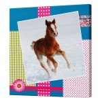 Horse Portrait Canvas frame
