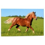 Galloping horse canvas wall art 60 x 40 cm