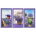 Set of 3 Provence lavender tea towels 50 x 70 cm cotton