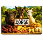 Corsica Glass Cutting Board  28.5  20 cm