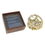 Brass Sundial Compass with Box