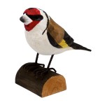 European Goldfinch on Wooden Log
