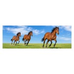 Bookmark Lenticular Horses
