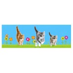 Bookmark Lenticular Cat