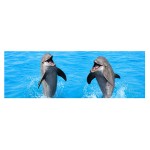 Bookmark Lenticular Dolphins