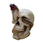 Skull Figurine with Cobra  20.5 cm