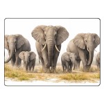 Glass chopping board elephants 28.5 x 20 cm