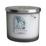 Heart and Home Ellipse 2-Wick Candle  Frosted Snowflakes