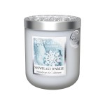 Small Soy Wax Candle Frosted Snowflakes  Heart and Home
