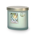 Botanical Breeze 2 Wick Candle 220 g