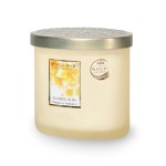 Summer Bliss 2 Wick Candle 220 g