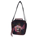 High school Musical picnic bag