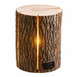 Wood Light - Ash Wood M