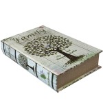 Family safe book box